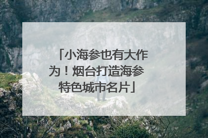 小海参也有大作为！烟台打造海参特色城市名片