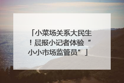 小菜场关系大民生！晨报小记者体验“小小市场监管员”