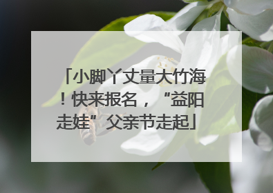 小脚丫丈量大竹海！快来报名，“益阳走娃”父亲节走起