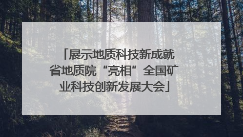 展示地质科技新成就 省地质院“亮相”全国矿业科技创新发展大会