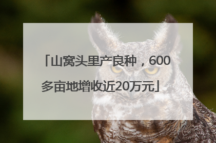 山窝头里产良种，600多亩地增收近20万元
