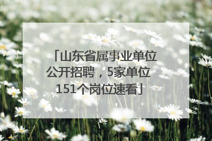 山东省属事业单位公开招聘，5家单位151个岗位速看
