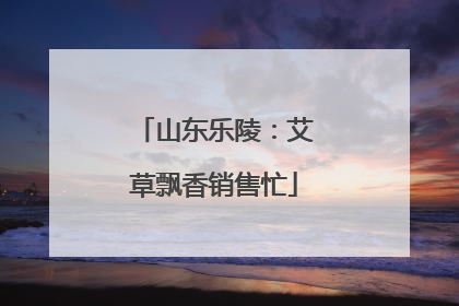 山东乐陵：艾草飘香销售忙