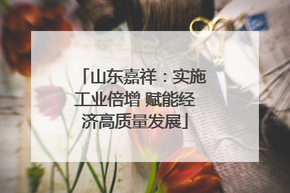 山东嘉祥：实施工业倍增 赋能经济高质量发展