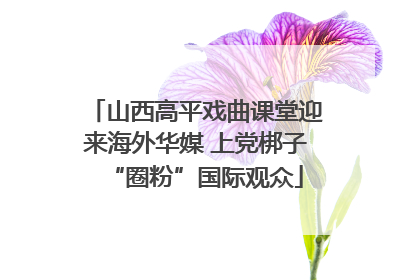山西高平戏曲课堂迎来海外华媒 上党梆子“圈粉”国际观众