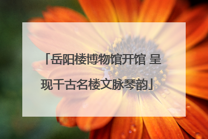 岳阳楼博物馆开馆 呈现千古名楼文脉琴韵