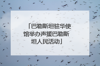 巴勒斯坦驻华使馆举办声援巴勒斯坦人民活动