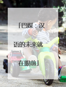 巴媒：汉语的未来就在眼前