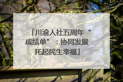 川渝人社五周年“成绩单”：协同发展托起民生幸福