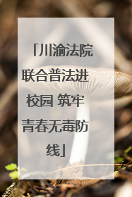 川渝法院联合普法进校园 筑牢青春无毒防线