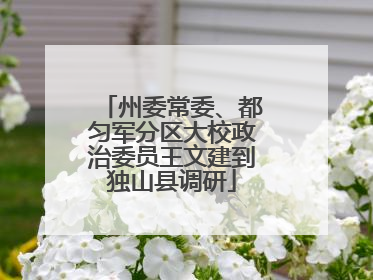 州委常委、都匀军分区大校政治委员王文建到独山县调研