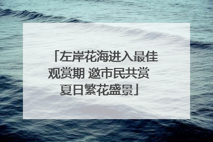 左岸花海进入最佳观赏期 邀市民共赏夏日繁花盛景