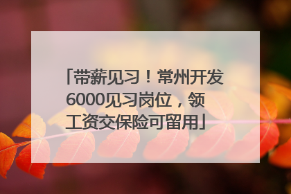 带薪见习！常州开发6000见习岗位，领工资交保险可留用
