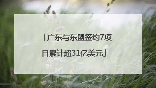 广东与东盟签约7项目累计超31亿美元