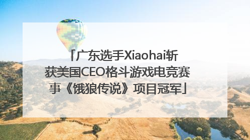 广东选手Xiaohai斩获美国CEO格斗游戏电竞赛事《饿狼传说》项目冠军