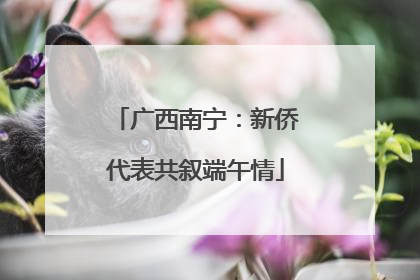广西南宁：新侨代表共叙端午情