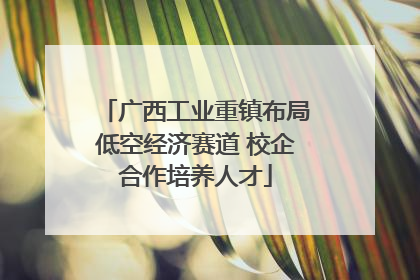 广西工业重镇布局低空经济赛道 校企合作培养人才
