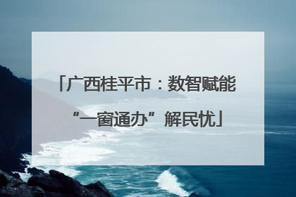 广西桂平市：数智赋能“一窗通办”解民忧