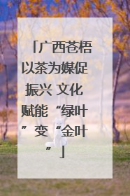 广西苍梧以茶为媒促振兴 文化赋能“绿叶”变“金叶”