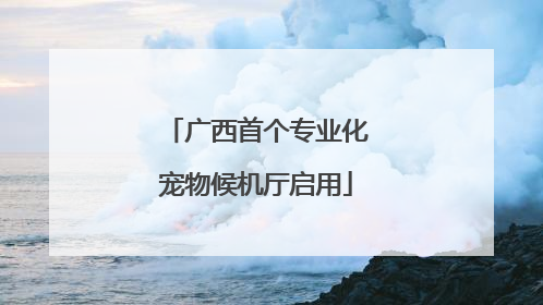 广西首个专业化宠物候机厅启用