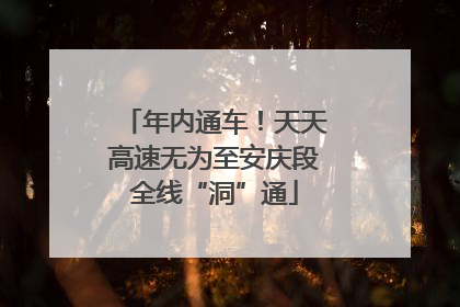 年内通车！天天高速无为至安庆段全线“洞”通