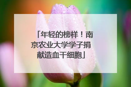 年轻的榜样！南京农业大学学子捐献造血干细胞