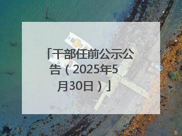 干部任前公示公告（2025年5月30日）