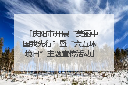 庆阳市开展“美丽中国我先行”暨“六五环境日”主题宣传活动