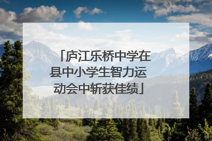 庐江乐桥中学在县中小学生智力运动会中斩获佳绩