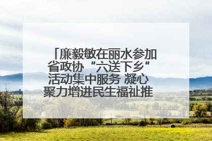 廉毅敏在丽水参加省政协“六送下乡”活动集中服务 凝心聚力增进民生福祉推进共同富裕