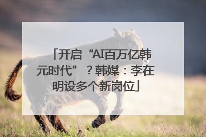 开启“AI百万亿韩元时代”？韩媒：李在明设多个新岗位