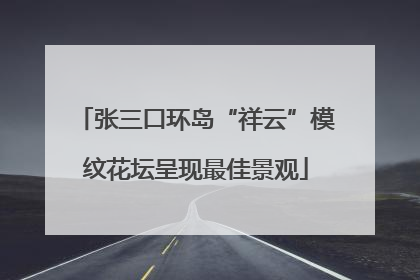 张三口环岛“祥云”模纹花坛呈现最佳景观
