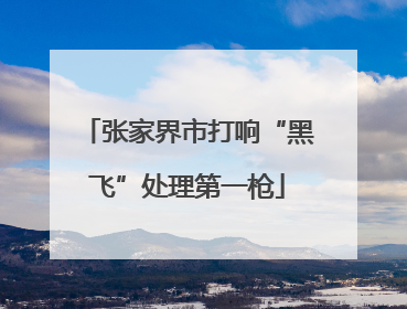 张家界市打响“黑飞”处理第一枪