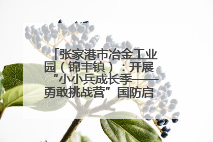 张家港市冶金工业园（锦丰镇）：开展“小小兵成长季——勇敢挑战营”国防启蒙教育活动