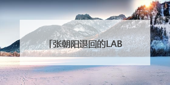 张朝阳退回的LABUBU，换了一辆车