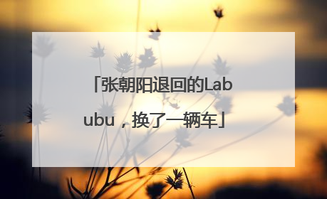 张朝阳退回的Labubu，换了一辆车