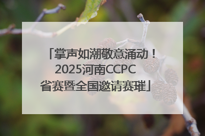 掌声如潮敬意涌动！2025河南CCPC省赛暨全国邀请赛璀