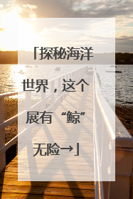 探秘海洋世界，这个展有“鲸”无险→