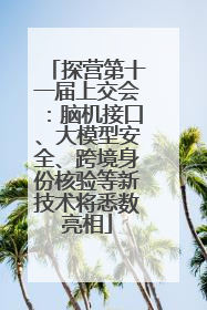 探营第十一届上交会：脑机接口、大模型安全、跨境身份核验等新技术将悉数亮相