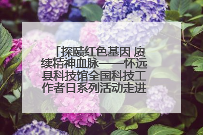 探赜红色基因 赓续精神血脉——怀远县科技馆全国科技工作者日系列活动走进怀远县实验中学