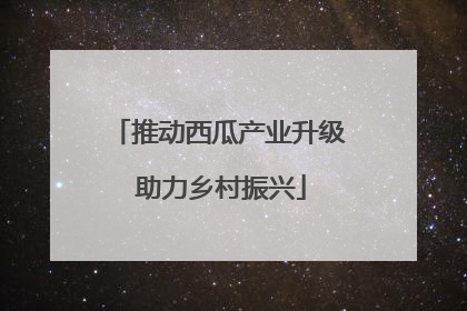 推动西瓜产业升级 助力乡村振兴