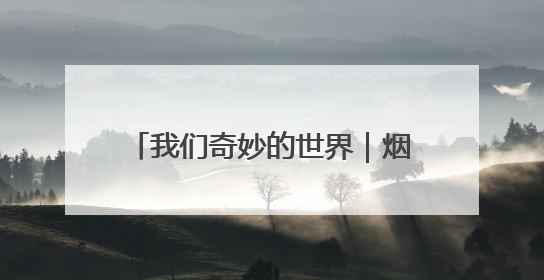 我们奇妙的世界｜烟台中小学生习作园地