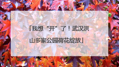 我想“开”了！武汉洪山多家公园荷花绽放