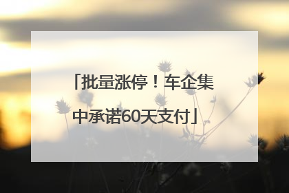 批量涨停！车企集中承诺60天支付