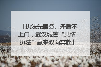 执法先服务、矛盾不上门，武汉城管“共情执法”赢来双向奔赴