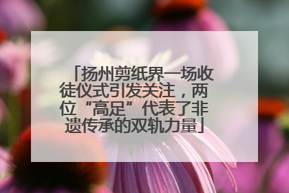 扬州剪纸界一场收徒仪式引发关注，两位“高足”代表了非遗传承的双轨力量
