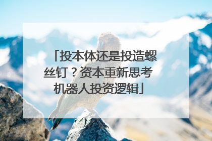 投本体还是投造螺丝钉？资本重新思考机器人投资逻辑