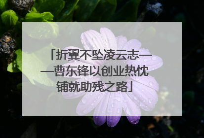 折翼不坠凌云志——曹东锋以创业热忱铺就助残之路