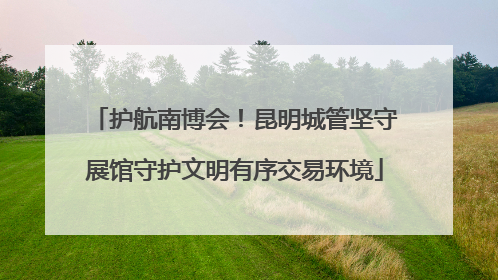 护航南博会！昆明城管坚守展馆守护文明有序交易环境