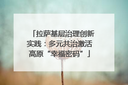 拉萨基层治理创新实践：多元共治激活高原“幸福密码”